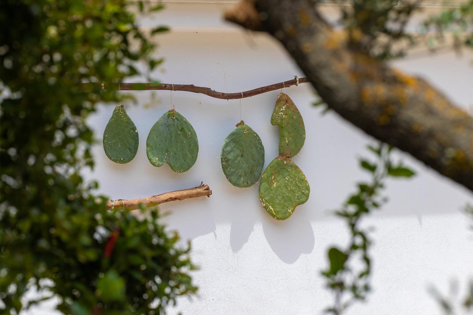 Hotel Masseria Fontanelle Ugento Buitenkant foto